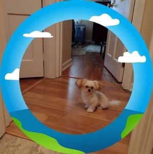 Meet your Posher, Carolyn